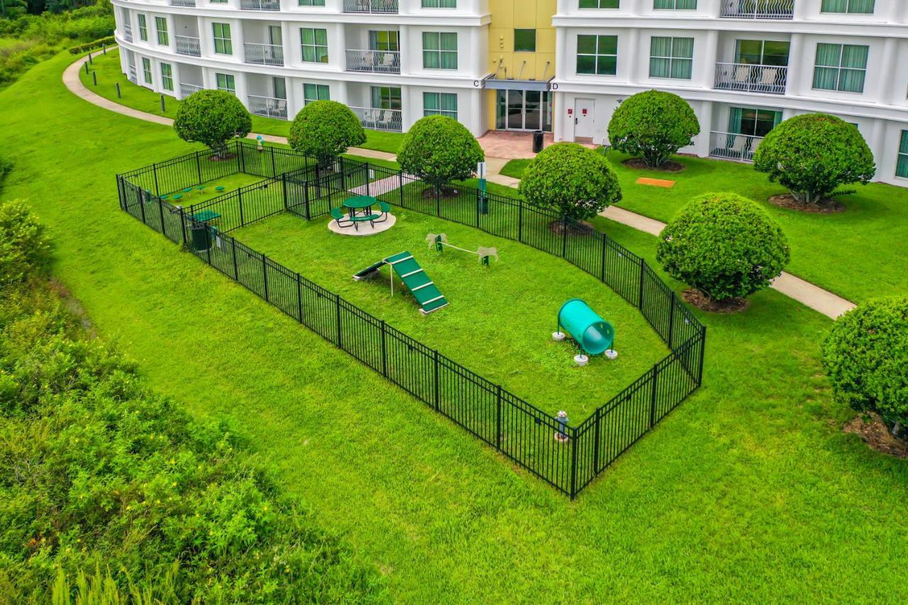 Pet Friendly In Orlando Area Near Disney Селебрейшн Экстерьер фото